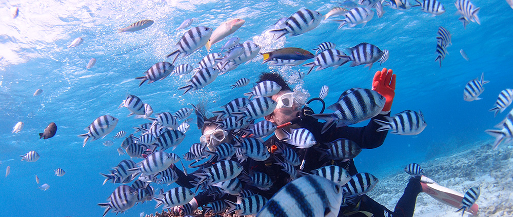 秋冬のマリン＆アクティビティ