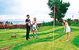 フィールド アクティビティ