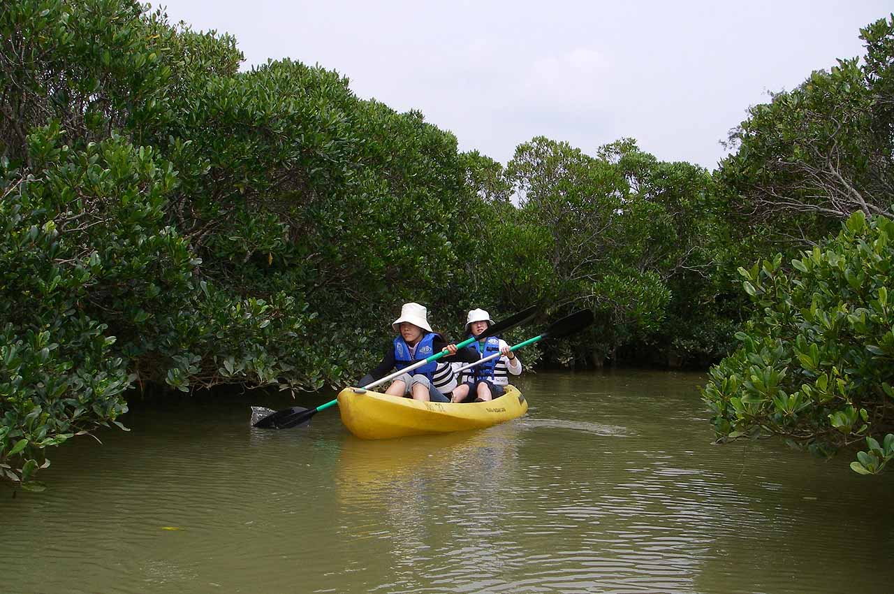 カヤックツアー