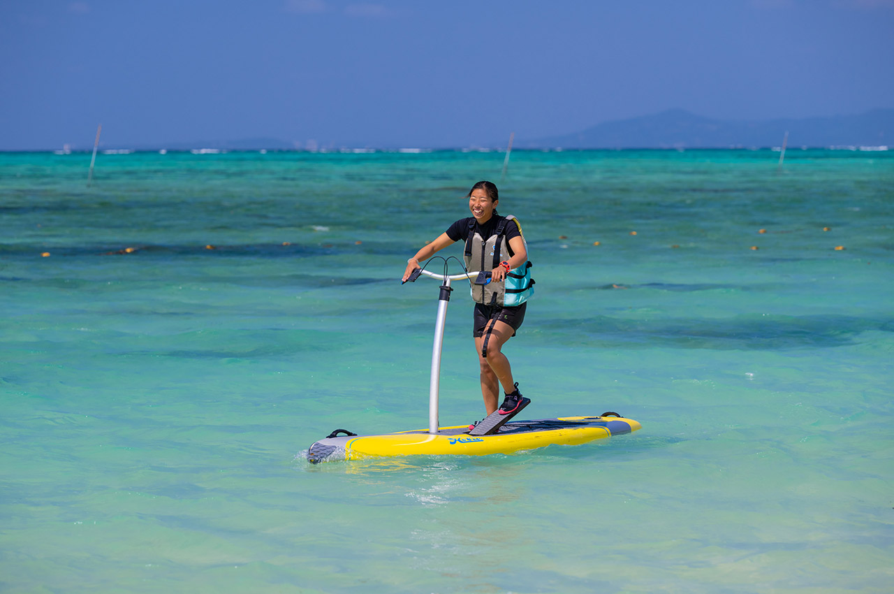 ステップボード