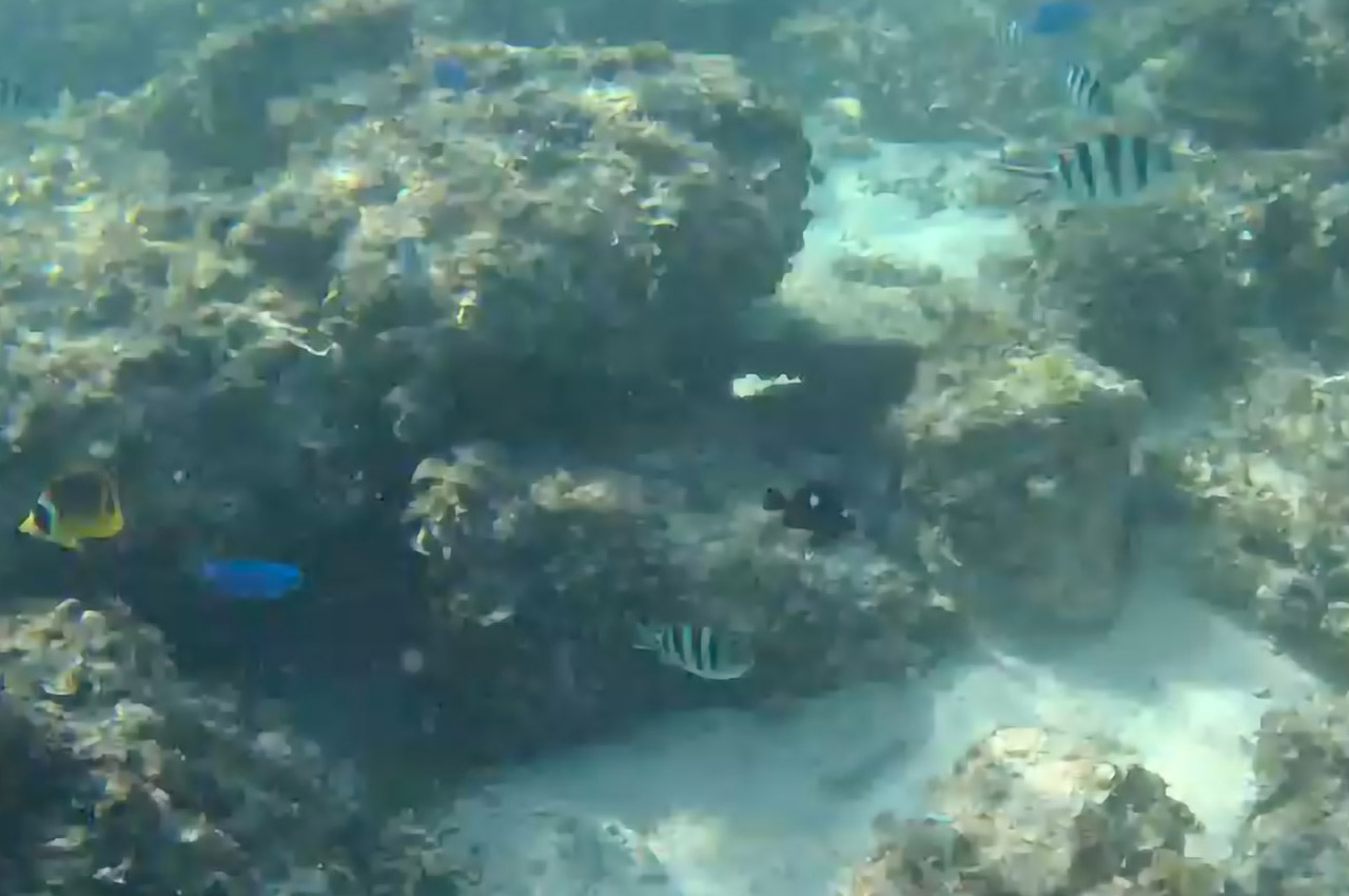 水中ドローンレンタル