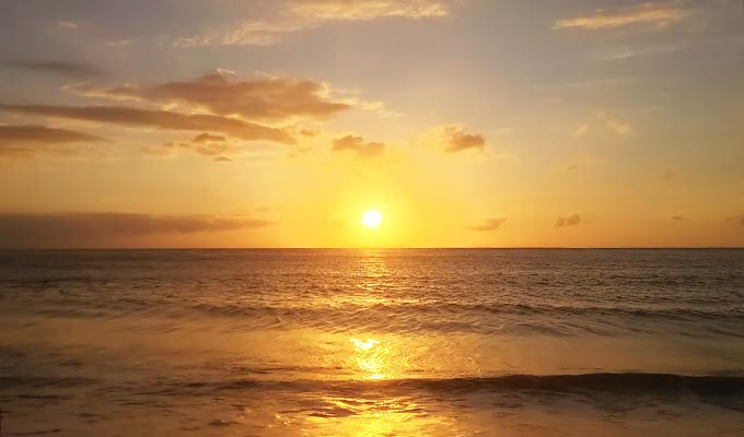 新年の幕開け！初日の出バスツアー（限定20名）