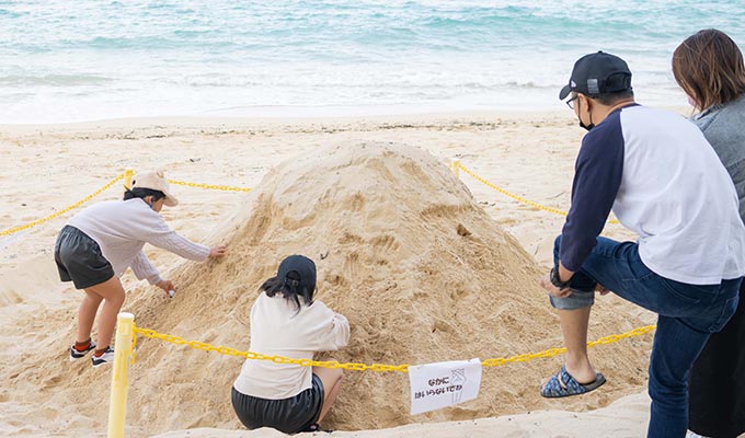 わくわく！ビーチ宝探しゲーム
