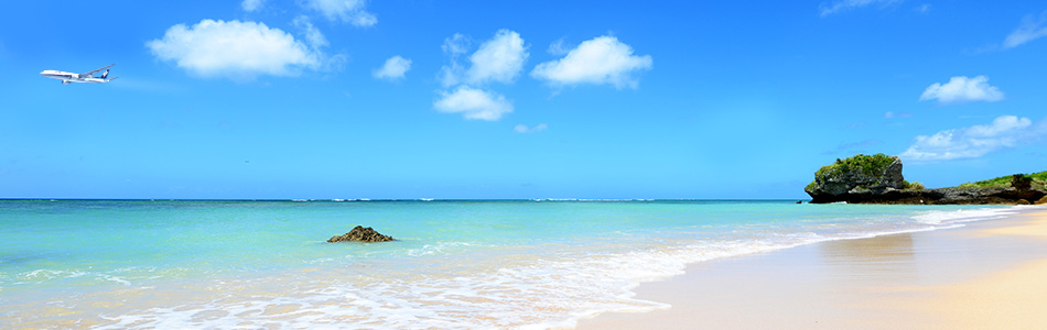 ANAダイナミックパッケージ（航空券＋宿泊）