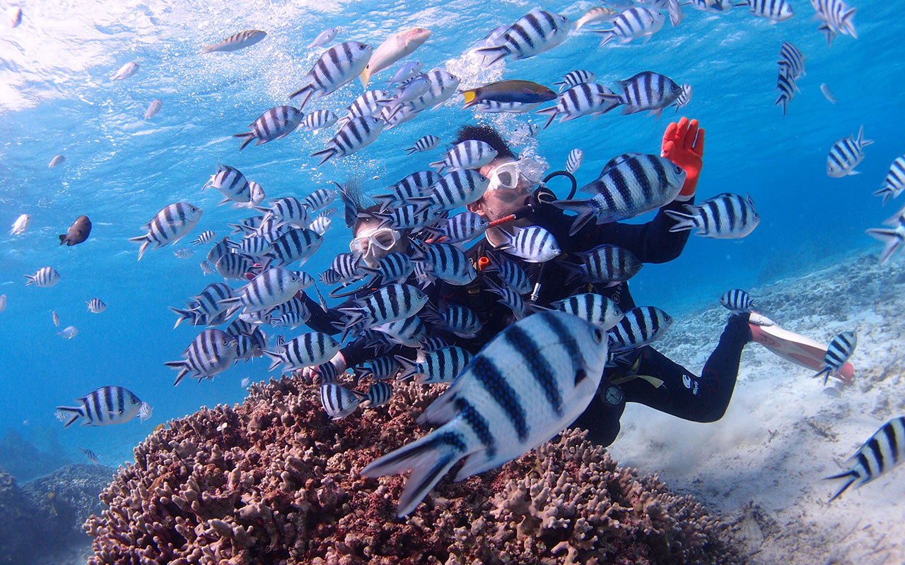 アクティビティ体験の様子