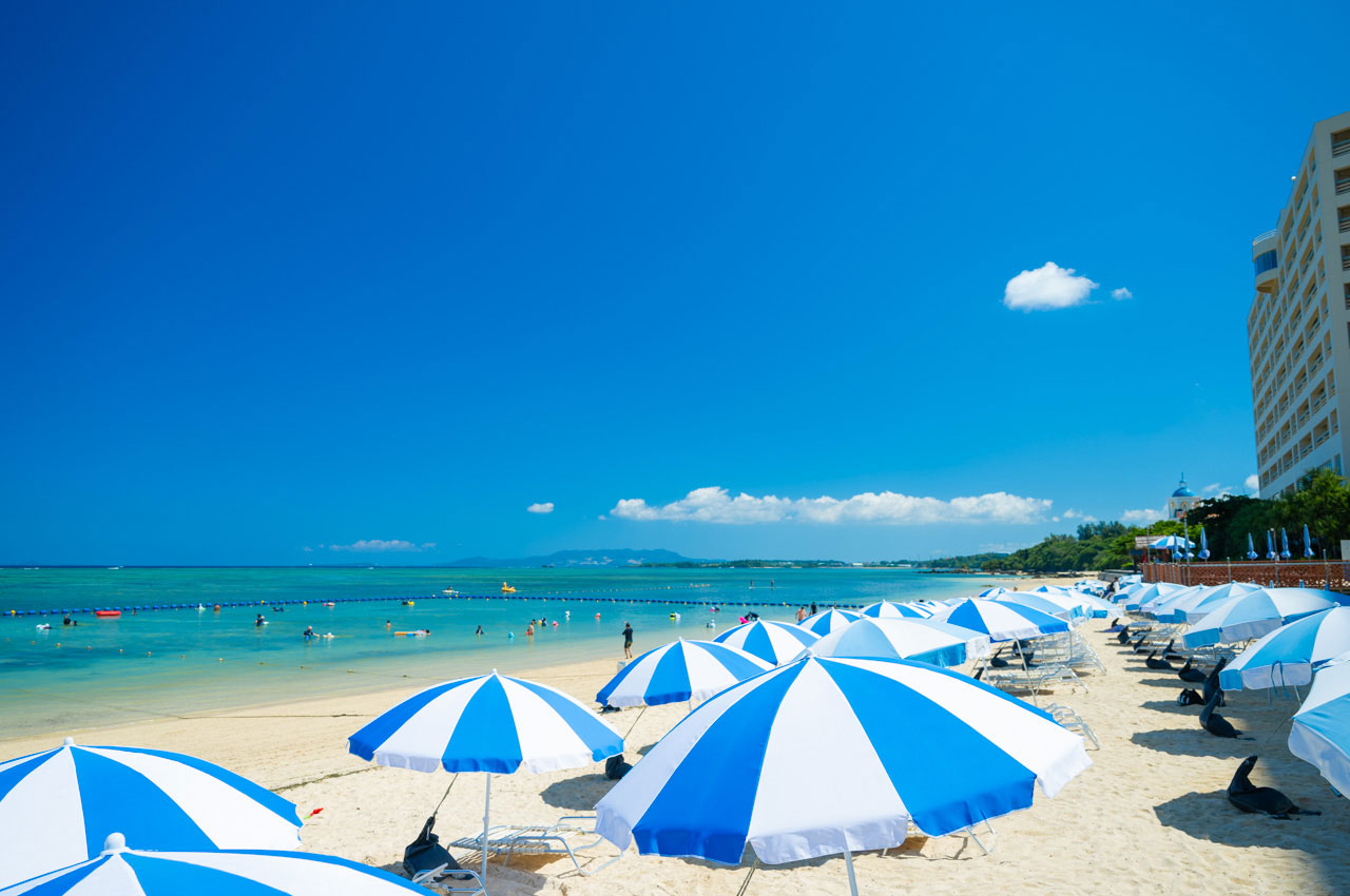 2024秋冬のマリンプログラムを掲載開始