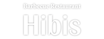 Hibis Logo