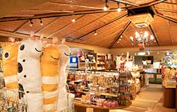 ショップ お土産品や日用品など