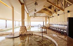 リラクゼーション スパ／マッサージなど